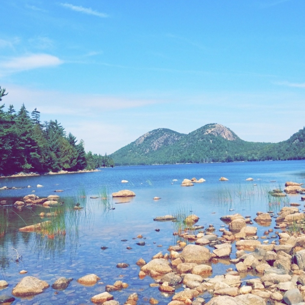 Meet your Posher, Crystal